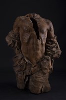 藏品(戰場走出)的圖片