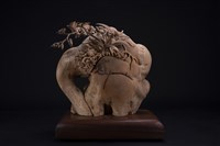 藏品(生機)的圖片