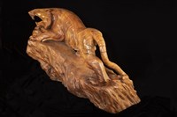 藏品(虎)的圖片