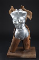 藏品(炫麗的外衣)的圖片