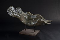 藏品(滄桑)的圖片