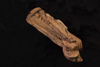 藏品(本土(漂流木的省思))的圖片