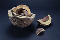 藏品(內在的本質)的圖片