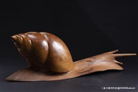 藏品(踏實向前行)的圖片