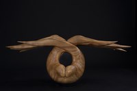 藏品(飛吧！夢想)的圖片