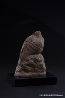 藏品(安息)的圖片