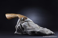 藏品(溫柔的力量)的圖片