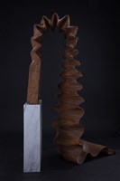 藏品(回歸自然)的圖片