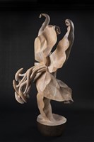 藏品(激情過後)的圖片