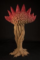 藏品(花)的圖片