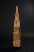 藏品(與自然共存)的圖片
