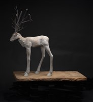 藏品(最後的森林之神-長腿的阿帕羅)的圖片