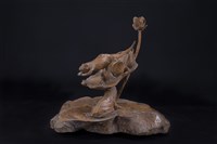 藏品(夏荷)的圖片