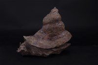 藏品(蝸牛腳上爭何事)的圖片