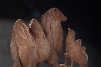 藏品(情深似海)的圖片