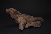 藏品(海獅)的圖片