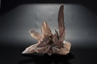 藏品(母子情)的圖片