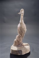 藏品(鷺鷥)的圖片