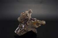 藏品(達摩)的圖片