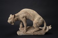 藏品(再見雲豹)的圖片