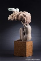 藏品(翔往)的圖片