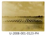 藏品(臺南州立臺南專修工業學校學生於運動場上進行體操活動照)的圖片