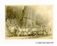 藏品(臺南州立臺南工業專修學校師生於阿里山神木前合照)的圖片