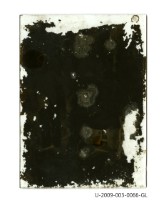 藏品(曾欽錫家族成員合照「玻璃乾版底片」)的圖片