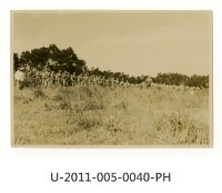 藏品(《台南高工開校十周年記念祭寫真帖》學生軍事演習後集合)的圖片