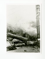 藏品(阿里山木材吊掛)的圖片