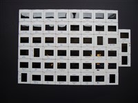 藏品(幻燈片)的圖片