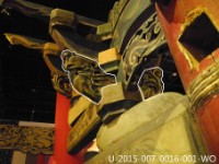 藏品(草尾栱(組))的圖片