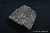 藏品(舊總圖書館黑色洗石子牆面取樣)的圖片