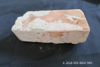 藏品(舊總圖書館足尺磚)的圖片