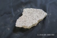 藏品(舊總圖書館白色洗石子牆面取樣)的圖片