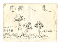 藏品(隊員手冊-南橫三星(影印本))的圖片