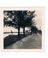 藏品(安平路上)的圖片