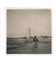 藏品(安平路上)的圖片