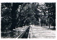 藏品(成功大學水工試驗所前的水槽)的圖片