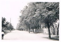 藏品(1962年的勝利路及工學路)的圖片