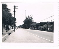 藏品(臺南市街景南門路)的圖片