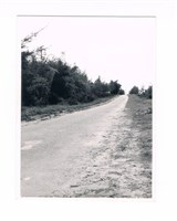 藏品(臺南市街景)的圖片