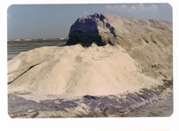 藏品(北門井仔腳瓦盤鹽田)的圖片