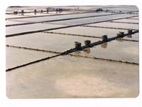 藏品(北門井仔腳瓦盤鹽田)的圖片