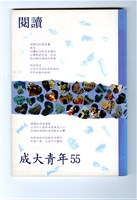 藏品(《成大青年》第五十五期（1996年出版）)的圖片