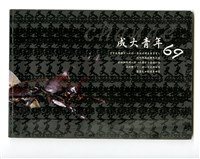 藏品(《成大青年》第六十九期（2006年出版）)的圖片