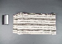 藏品(苧麻布)的圖片