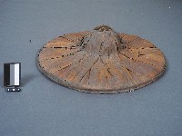 藏品(斗笠)的圖片