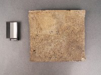 藏品(古瓦)的圖片