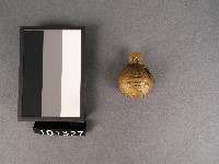 藏品(銅鈴)的圖片